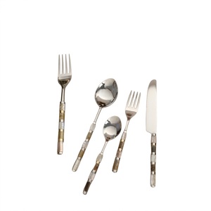 Ensemble de couverts en acier inoxydable de qualité supérieure, élégant, avec manche en nacre sculptée, pour la maison, la cuisine et l'hôtellerie - Product Image 1