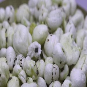 Phool Makhana Indien de Nouvelle Récolte Premium 100% Pur Goût Sucré Texture Semi-Molle Fait Main Soigneusement Sélectionné Naturel du Gujarat - Product Image 6