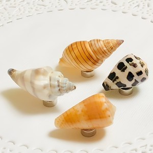 Ensemble d'aimants de réfrigérateur en forme de coquillages, prix le plus bas, aimants pour réfrigérateur, décoration de plage, accessoires de cuisine - Product Image 6