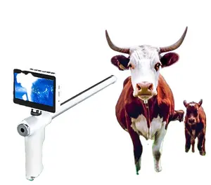 Manufacturer Supplier Artificial Pipettes Les Gaines Des Pistolet D Horse Cow Insemination For Export