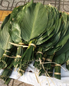 Feuilles de Dong de haute qualité du Vietnam – Naturelles et propres - Product Image 2