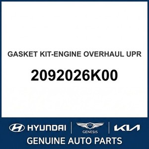Nouveaux joints et garnitures Accent 2092026K00 - Product Image 1