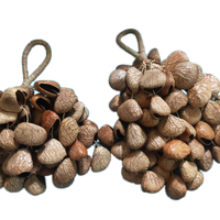 Shaker à noix naturel 100% fait à la main Décoration de style musical poli à percussion Disponible en différentes tailles de modèles Fabriqué à Bali