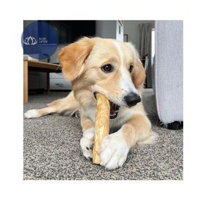 Bâton à mâcher pour chien en bois de café, le plus vendu, écologique, pour le soin des dents, jouet interactif de nettoyage dentaire, fourniture export Vietnam - Product Image 1