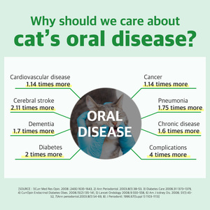 ดร. โดยอาหารเสริมเพื่อสุขภาพช่องปากสำหรับแมวหินปูนและการควบคุมลมหายใจวิตามินการดูแลสุขภาพสัตว์เลี้ยง - Product Image 4