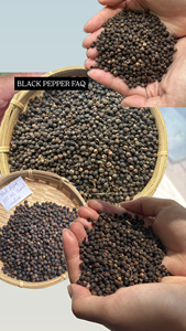 พริกไทยดำแบบเทกอง 500 กรัม แบบมาตรฐานจากเวียดนาม |   ราคาที่แข่งขันได้ |   ผู้จัดจำหน่ายส่งออกโดยตรง [เอเวลิน] - Product Image 6