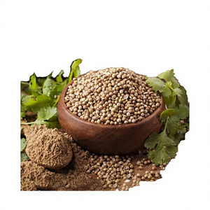 Semillas de Cilantro Crudas Secas Naturales Premium, Especia Entera para Cocina Culinaria, Condimento y Suministro para Exportación - Product Image 6