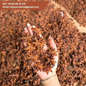 Anís Estrellado de Vietnam, Especias Enteras, Hierba Aromática Natural, 10 kg, MS ELLY (WA +84 829 526 179) - Product Image 4
