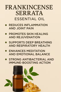 Frankincense Serrata Essential <b>Oil</b> Pure Natural Resin Aromatherapy Grade Steam Distilled <b>Oil</b> for Skin Care Meditation <b>Diffuser</b> - Product Image 3
