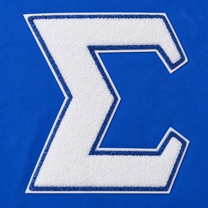 Camiseta Azul Rey de Manga Corta con Cuello Redondo y Bordado de Chenilla Blanco con Letras Griegas Sigma, Ropa Casual Universitaria - Product Image 5
