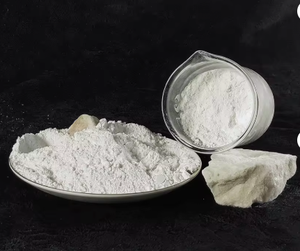 แคลเซียมคาร์บอเนต CACO3 วัสดุอุดรอยรั่วสำหรับบ่อ  วัสดุเกรดอาหาร หินปูนขาว จัดส่งรวดเร็ว ผลิตในเวียดนาม - Product Image 1