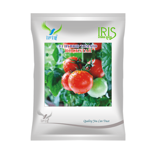 Graines de tomates hybrides Iris <span class=keywords><strong>F1</strong></span> Rockstar Cherry, tomates Rockstar fraîches - Product Image 1