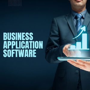 Services logiciels professionnels pour entreprises : Développement de solutions d'entreprise, automatisation des flux de travail et systèmes numériques évolutifs - Product Image 1
