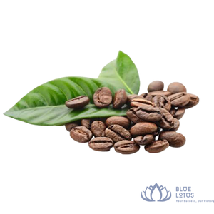 เมล็ดกาแฟโรบัสต้าดาคลักเวียดนามขายดีที่สุด คุณภาพสูง คั่วกลาง รสหวาน กลิ่นหอมเข้มข้น เพิ่มพลังงาน - Product Image 1