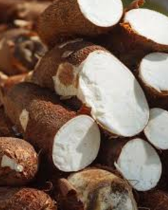 RAÍZ DE YUCA CONGELADA IQF PREMIUM (ENTERA / EN TROZOS) – PROCESADA RECIENTEMENTE, SIN CONSERVANTES, CALIDAD DE EXPORTACIÓN DESDE VIETNAM - Product Image 1