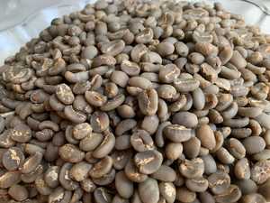 Café Robusta Vert du Vietnam, Taille 16, Fournisseur pour les Marchés Européens et du Moyen-Orient, Certification USDA, Faible Taux de Défauts - Product Image 2
