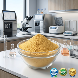 <b>Best</b> Quality Mango Fruit Powder Made From Fresh Mango Fruit Available For Bulk Wholesale Supply At Competitive Price - Product Image 4