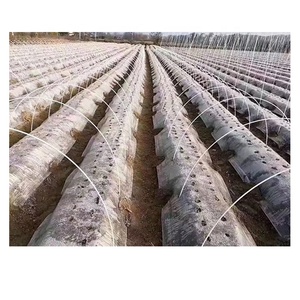 Garden/ Plant Nursery Fiberglass Stake/<b>rods</b> - Product Image 1