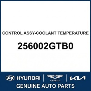 Repuestos y Accesorios para Autos y Camionetas Sportage Nuevos 256002GTB0 - Product Image 1