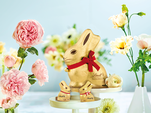 Precio de Fábrica Lindt Gold Bunny, Corazones de Chocolate con Leche, 200g, Regalo Premium de Pascua, Chocolate Bunny, Suministro al por Mayor - Product Image 5