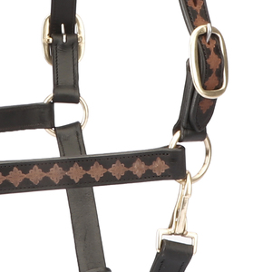 Cabestro de Cuero Genuino para Caballo con Corona Acolchada Suave, Ajustable, de Cuero Premium, Acolchado Multicolor, Herrajes de Latón, OEM - Product Image 5