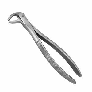 Pinzas de Extracción Dental 169, Estilo Inglés, Instrumento de Cirugía Oral, Pinzas de Extracción de Acero Inoxidable para Uso Clínico - Product Image 1
