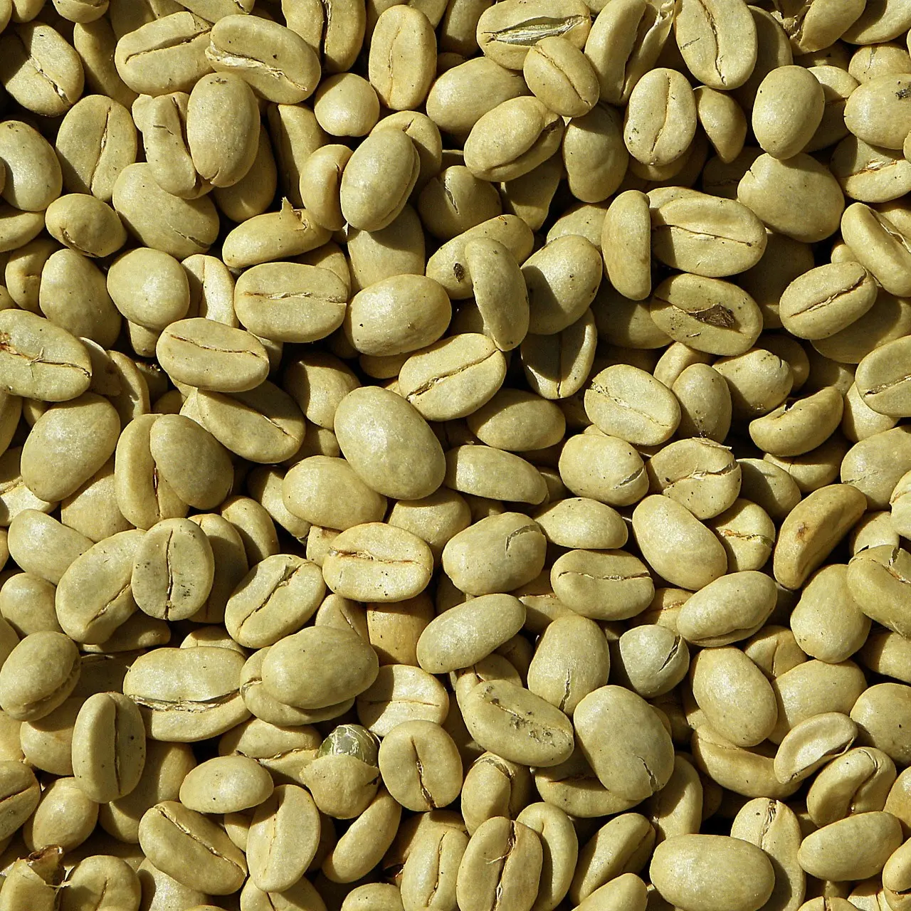 Goedkope Arabica Koffiebonen Premium Koffie Levert Arabica Koffiebonen