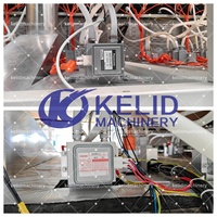 Machine de séchage multifonctionnelle pour graines de coriandre et épices variées, en acier inoxydable 304, avec PLC, certifiée CE, de qualité alimentaire, pour micro-ondes