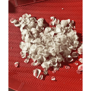 Écailles de poisson séchées pour la fabrication de produits nutraceutiques, ingrédients alimentaires fonctionnels et applications de compléments alimentaires - Product Image 2