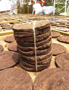 Bhumi Gold – Pack de Diyas en fumier de vache biologique pour la Puja et l'agriculture, 100 % naturel, meilleure qualité, durée de conservation de 24 mois, fabriqué dans l'Uttar Pradesh - Product Image 2