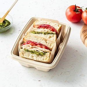 Compostable Food <b>Container</b> Bagasse Disposable Takeaway Meal Box 1000Ml Anti Leak Unbleached Recutangler Shapes with Lid Party - Product Image 4