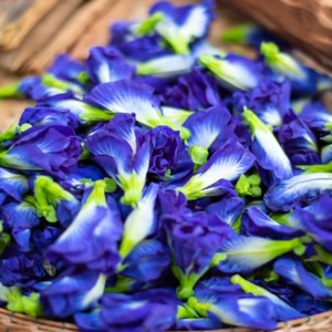 Flor de Guisante Mariposa al MEJOR Precio |   Té Azul Orgánico Seco |   Suministro al por Mayor - Product Image 1