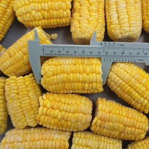 Maíz Dulce Amarillo Congelado de Vietnam, Maíz Dulce Congelado IQF a Granel - Product Image 4
