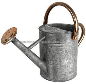 Regadera con rociador galvanizado, Diseño Artesanal, maceta de agua de Metal, plantas de vivero de jardín, jarra de riego blanca, decoración del hogar - Product Image 6