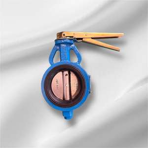 Vanne papillon pour applications vapeur, produits chimiques, air, usage général pneumatique - Product Image 5