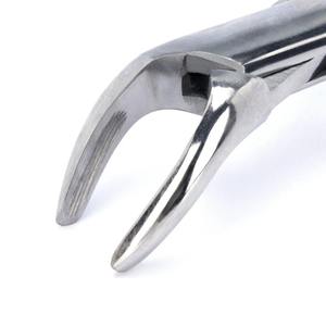 1Pcs Adult Tooth Extracting Forceps Pliers 151 Dentist Surgical Extraction Instrument High Quality Dentist Instruments Forceps - Product Image 4