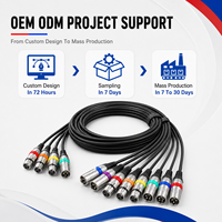Câble Combo XLR Professionnel Ice Combo, Câble de Signal Powercon DMX512 pour Équipement d'Éclairage Scénique, Assemblage de Câbles Personnalisés OEM ODM