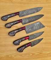 Ensemble de couteaux de chef THEWIZ CRAFTS de qualité supérieure en acier à haute teneur en carbone, 5 pièces, fabriqués à la main, manches ambidextres en os, finition polie