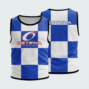 Nueva Llegada, Petos Deportivos Transpirables de Secado Rápido de la Mejor Calidad, 100% Poliéster, Malla, Equipación de Entrenamiento de Fútbol, Ropa de Equipo, Nombre del Equipo Personalizado - Product Image 1