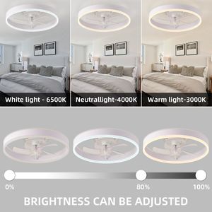 Ventilatore da Soffitto LED da 19,7 Pollici con Luci RGB, Sei Velocità Regolabili, Rotazione Positiva e Negativa, Tre Temperature - Product Image 3