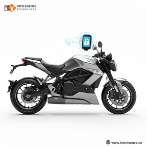 Sécurisez votre vélo avec des solutions de dispositifs antivol intelligents, incluant le développement de dispositifs antivol pour les deux-roues et les vélos. - Product Image 2