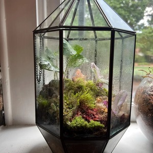 Black Frame Glass Terrarium <b>Mini</b> Landscape Planter Suitable For Photo Shoot Props And Aesthetic Content Setup From India - Product Image 2