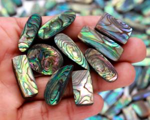 Wholesale Natural <b>Abalone</b> <b>Shell</b> Cabochon Mix Shape Colorful Paua <b>Shell</b> Loose Cabochons for Jewelry Making - Product Image 1