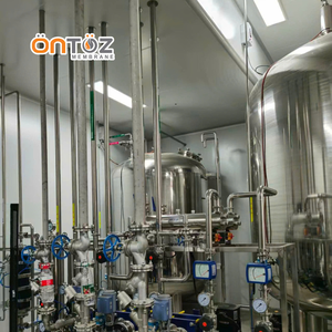 Sistema de Purificación de Agua Ultrapura de Alta Calidad / Fabricante de Sistemas de Tratamiento de Agua Pura Ro Edi 1000 Litros por Hora - Product Image 5