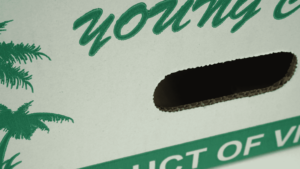 Boîte en carton ondulé personnalisée pour l'emballage d'exportation de jeunes noix de coco fraîches avec poignée, fournisseur OEM ODM au Vietnam - Product Image 2