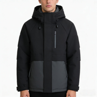 Manteaux en duvet pour hommes, confortables, chauds, décontractés, rembourrés, imperméables, pour le printemps, veste décontractée pour l'extérieur avec fermeture éclair et motif uni