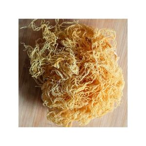 สาหร่ายทะเลแห้งขายดีที่สุด สำหรับส่วนผสมเครื่องดื่มเพื่อสุขภาพ และระบบจัดจำหน่ายอาหารแปรรูป - Product Image 2