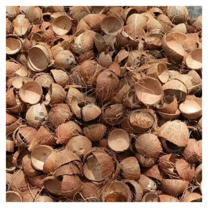 Premium quality crushed <b>coconut</b> <b>shells</b> for horticulture soil conditioning and agricultural applications - Product Image 6
