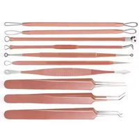 Aiguille de précision en acier inoxydable certifiée CE ISO pour l'élimination des points noirs Kit d'outils pour l'élimination des points blancs Ensemble de manucure et de pédicure pour la peau du visage OMI