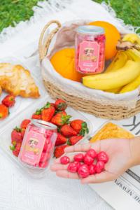 Yogurt de Fresa con Chocolate Blanco Sin Azúcar de la Colección BAISER, Calidad Premium, 100gr, Hecho en Vietnam para Venta al por Mayor - Product Image 3